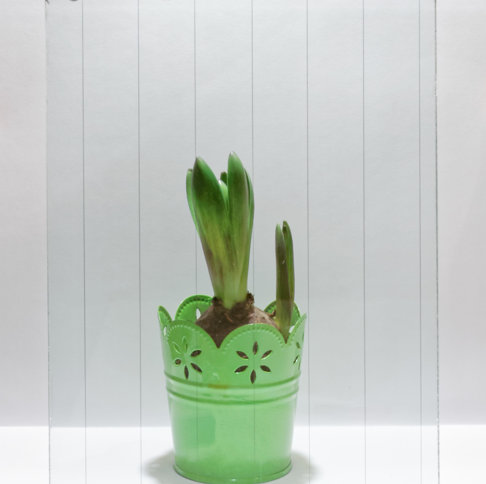 VSG mit Drahteinlage